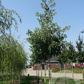 deb2ffc96f39c8cad769e155e669b429