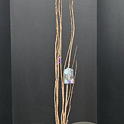Prunus ser. 'Amanogawa' 200-225 cm 20L