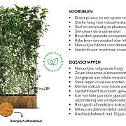 ECO haag 120x180 container kant en klaar haag