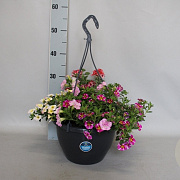 Hangpotten 27 waterreservoir Mix 06 Kiss mix GM P27