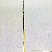 Salix integra 'Hakuro-nishiki' 180 cm stam 7,5L