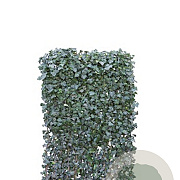 Hedera hel. 'Woerner' 120X200 Mobilane 1-17 st