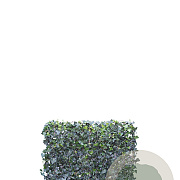 Hedera hel. 'Woerner' 120x100 Mobilane 24-47 stuks