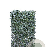 Hedera hel. 'Woerner' 120X220 Mobilane vanaf 24 stuks