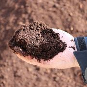 Tuinturf Culvita