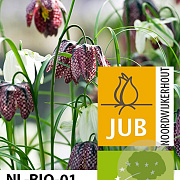 Fritillaria 'meleagris' Mix verpakt per 100