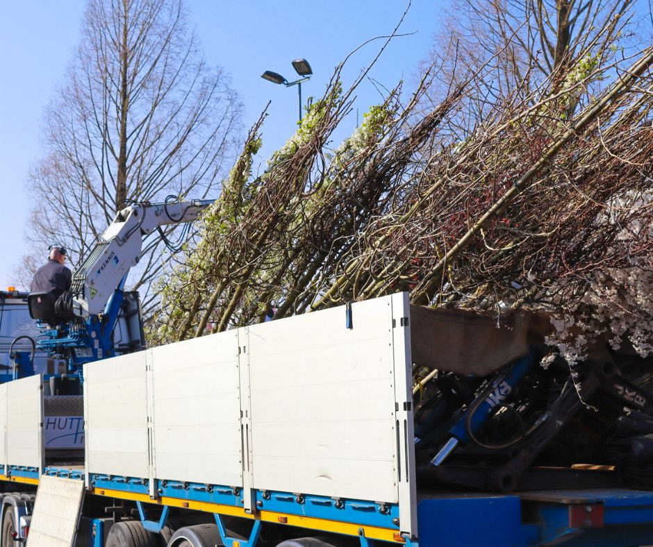 laden lossen bomen
