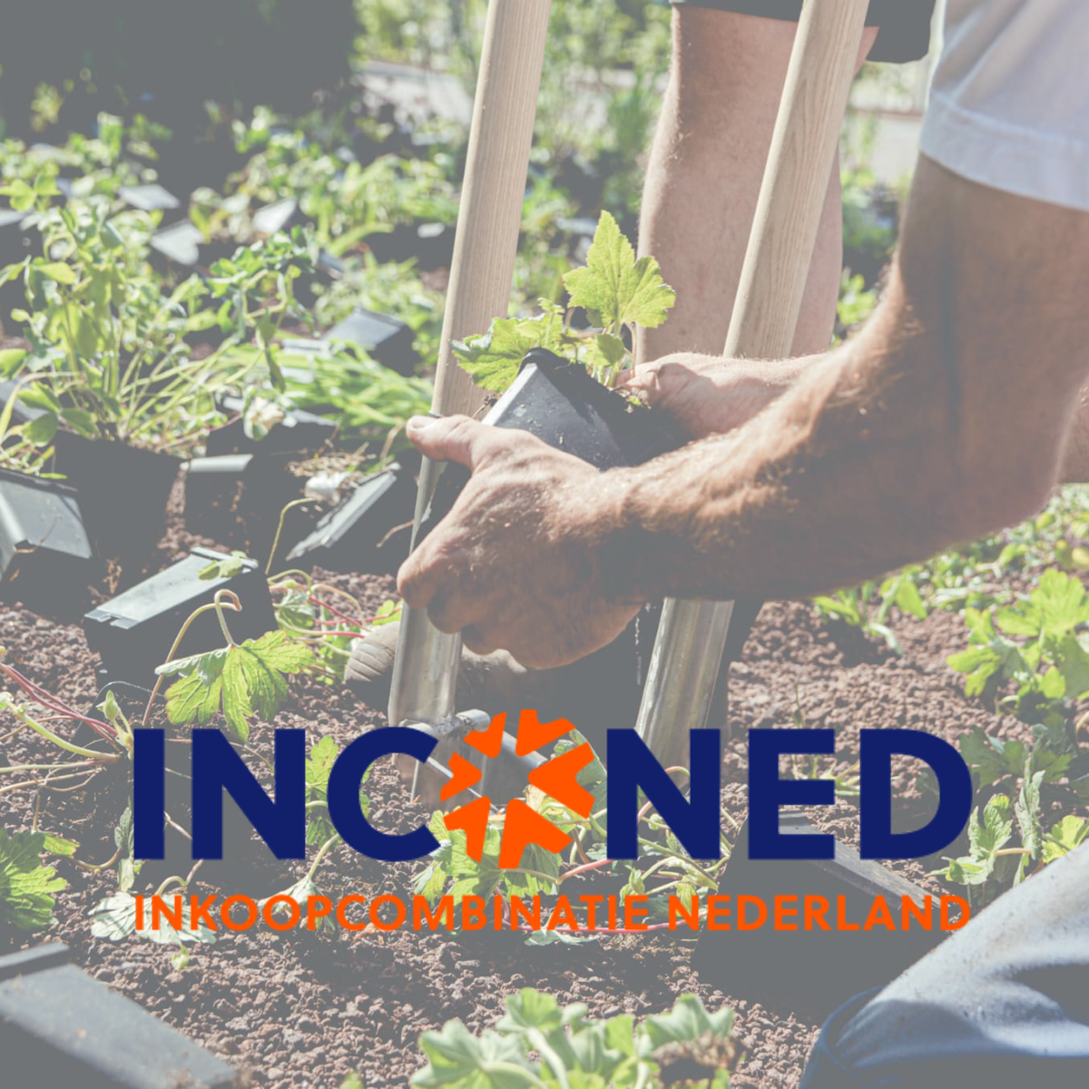 inconed olaf nijenkamp