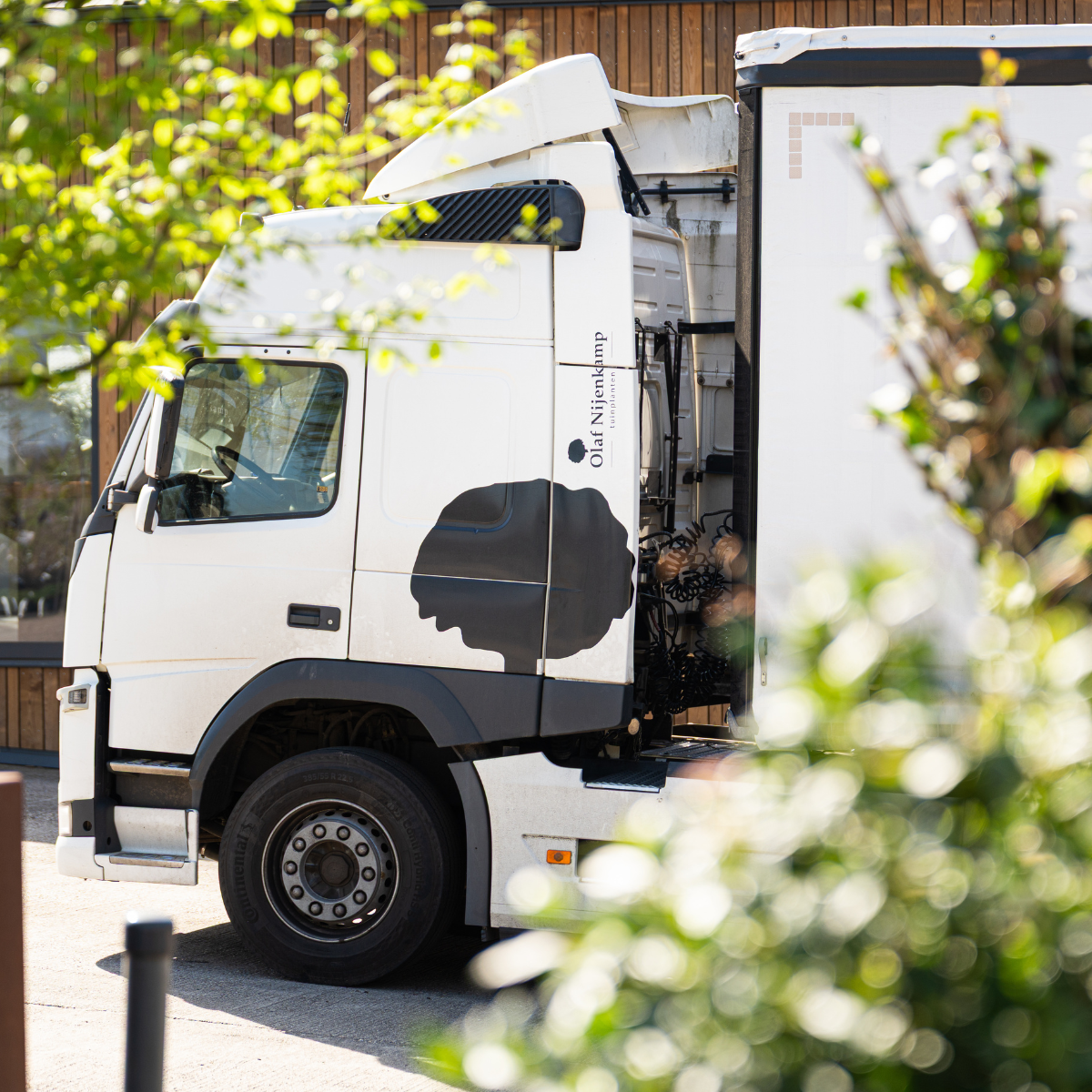 ontwerp zonder titel 54 