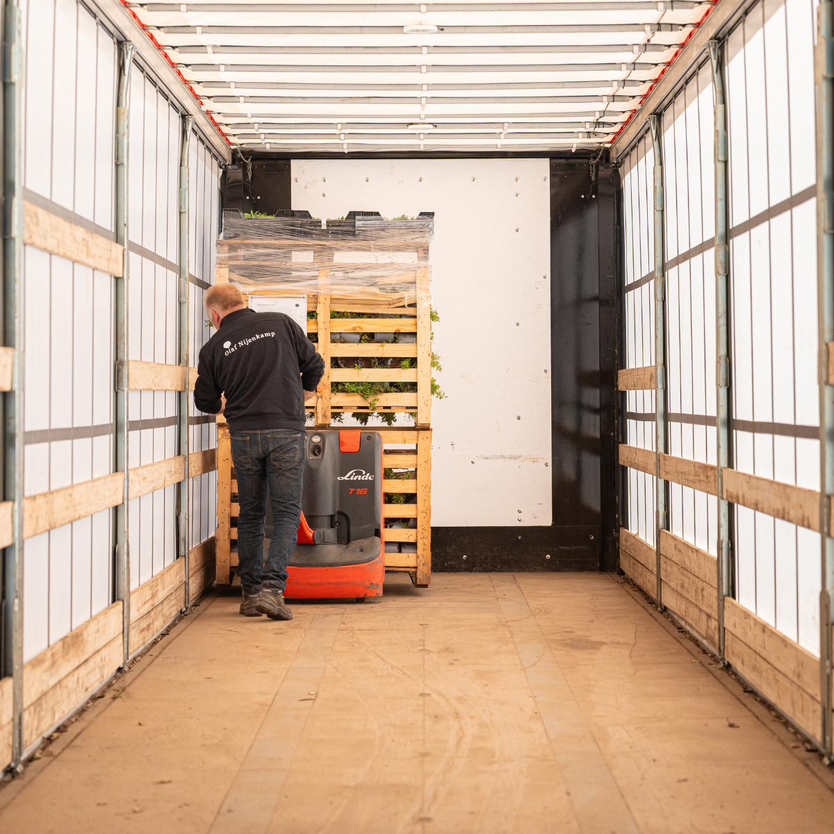 ontwerp zonder titel 52 