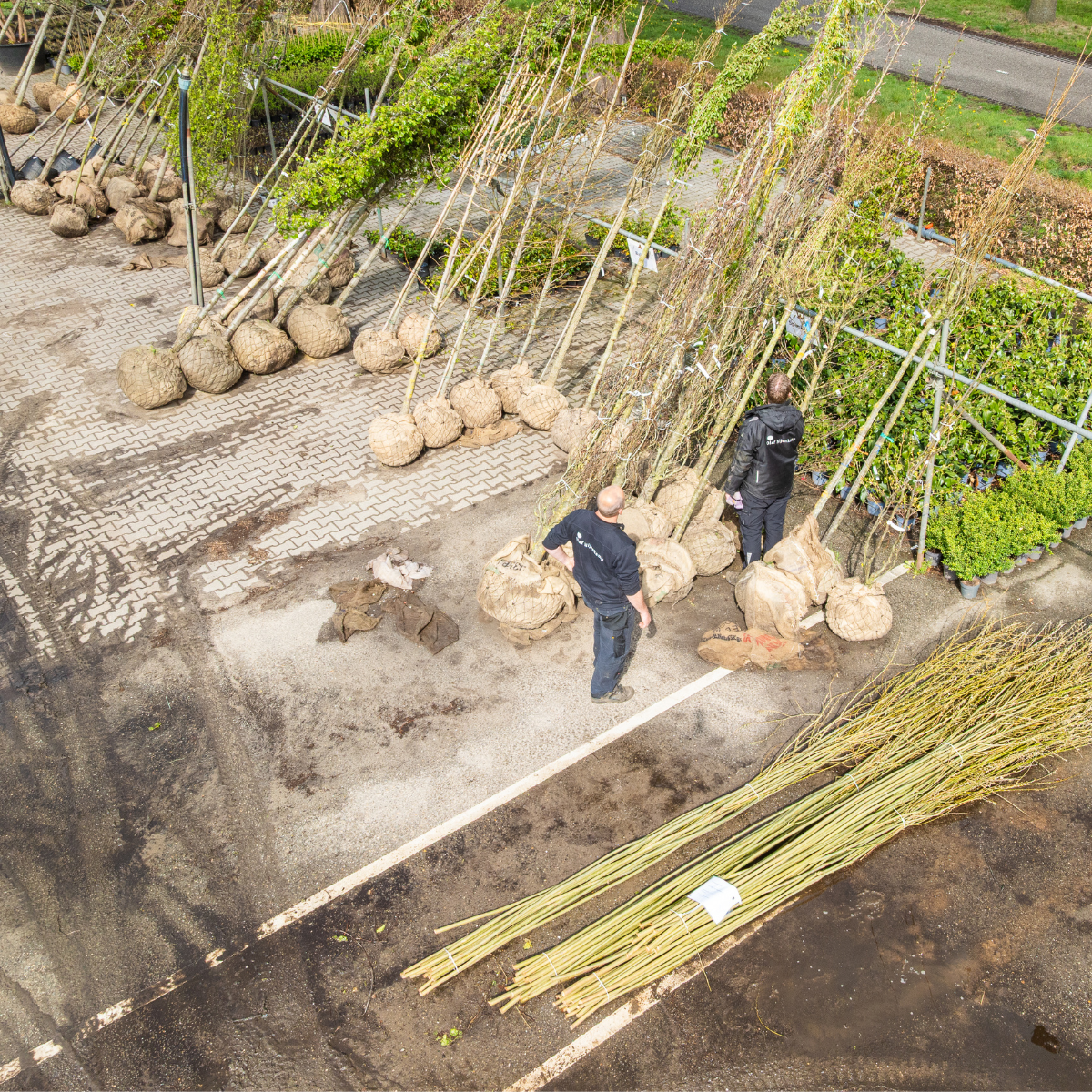 ontwerp zonder titel 57 