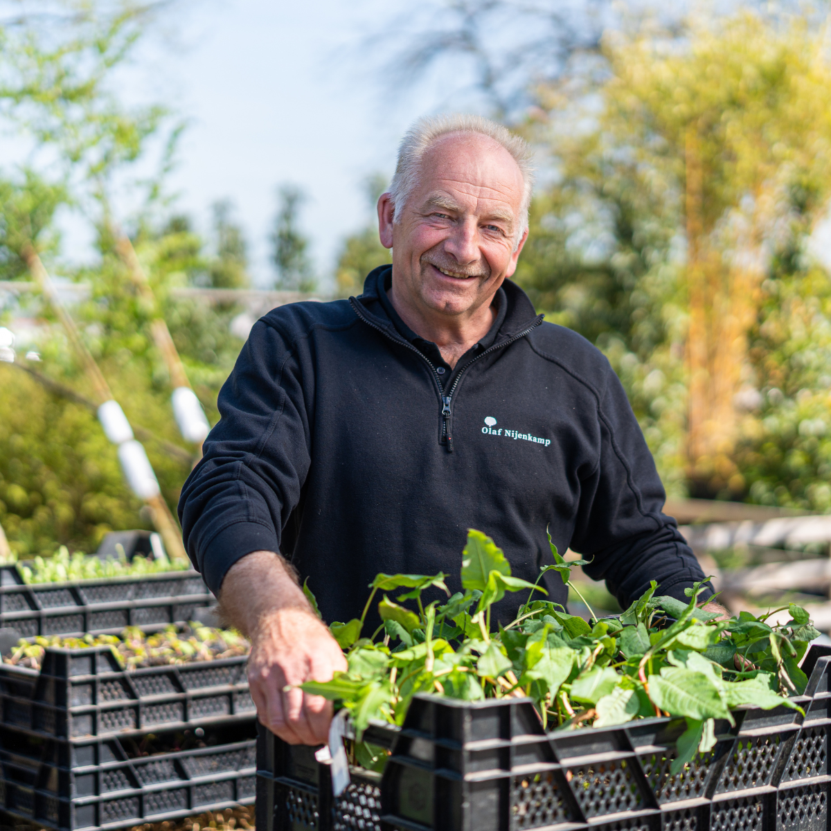 ontwerp zonder titel 53 