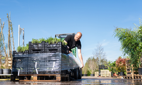 ontwerp zonder titel 68 