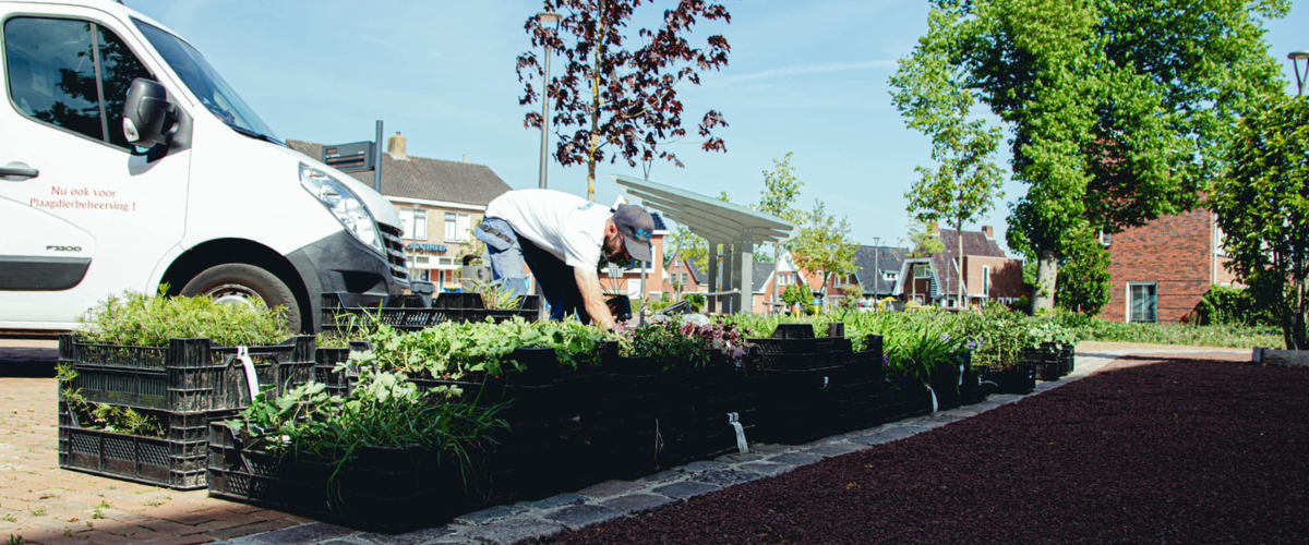 ontwerp zonder titel 87 