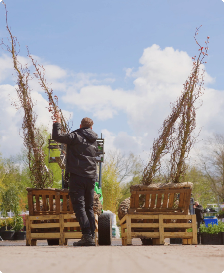 complete beplanting in de praktijk