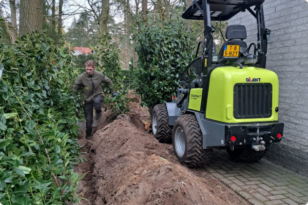 hovenier beplanting