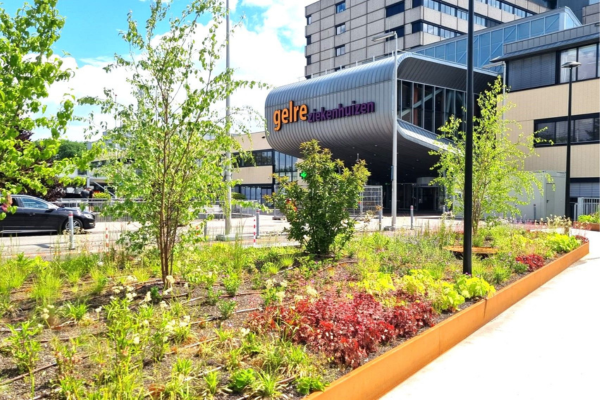 grootgroen beplanting