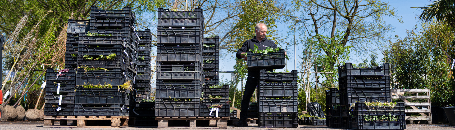 header subpagina beplanting compleet