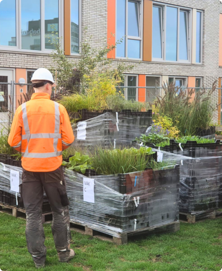 sub complete beplanting 3