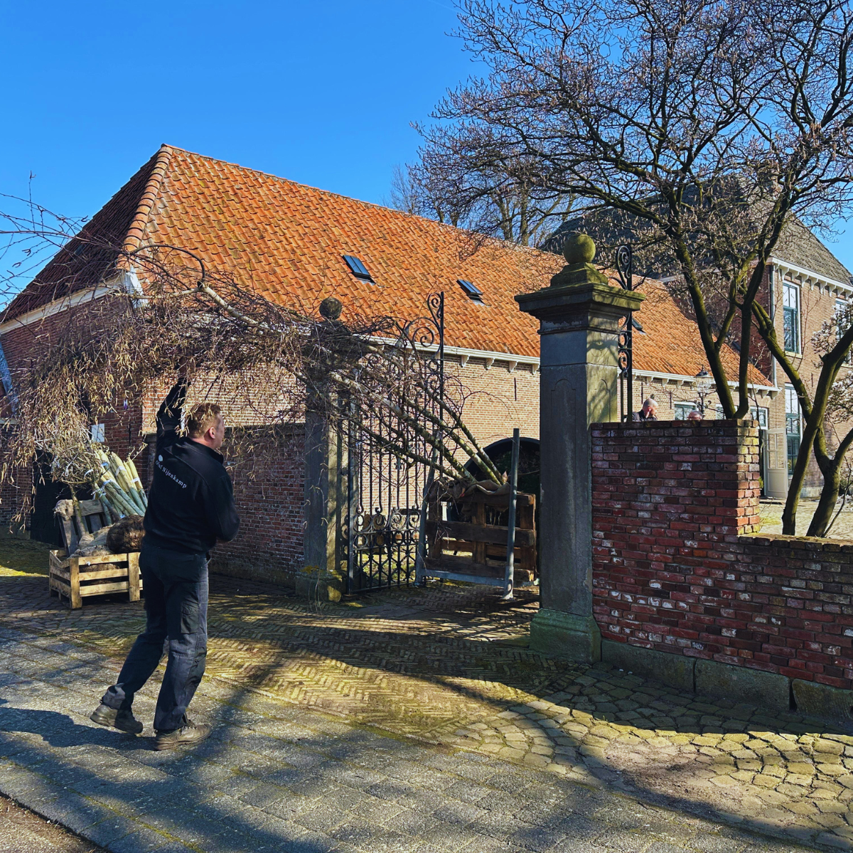planning lossen bomen