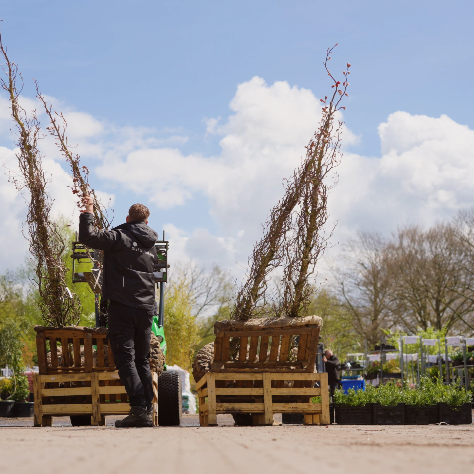 ontwerp zonder titel