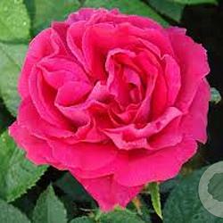 04dbb5d68759ce504f8887d526e6d600