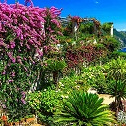 mediteraan hoofdgroep