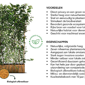 ECO haag 120x180 container kant en klaar haag