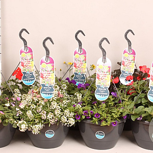 Hangpotten 27 waterreservoir Divers GM hangpot 27cm