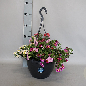 Hangpotten 27 waterreservoir Mix 06 Kiss mix GM P27