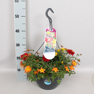 Hangpotten 27 waterreservoir Mix 05 Oranje/rode mix GM P27