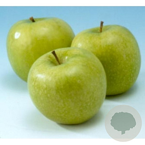 Malus d. 'Granny Smith' 10-12 HA container