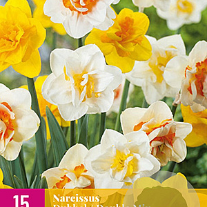 Narcissus Double Mix 12-14 cm verpakt per 100