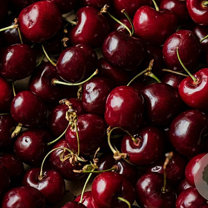 Prunus a. 'Pollux' struik wortelgoed