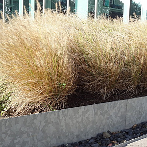 SmartEdge buitenhoek VS150BU 15 cm 11.5 breedte in cm 1.5 mm stuk verzinkt