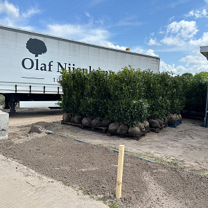 diverse projecten hovenier 1