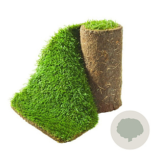 Graszoden BEZORGEN 60 tot en met 119m2