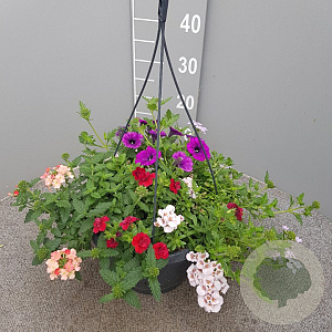 Combinatiedoek GM C6L