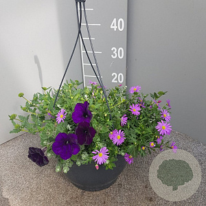 Combinatiedoek GM C6L