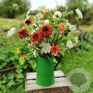 Op de vaas (plukbloemen mix) Innogreen 100 gram