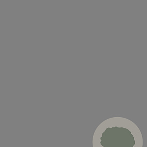 Rudbeckia f. 'Goldsturm' GM 2,0L