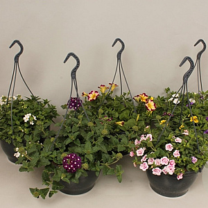 hangpotten 23cm diverse soorten GM hangpot 23cm