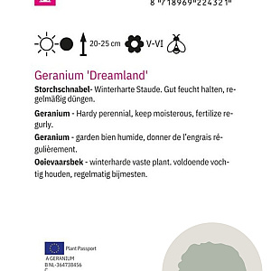 Geranium Dreamland GM 2,0L