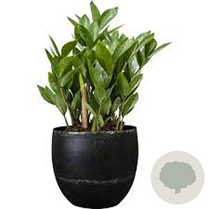 Positano 73/33 vintage grey