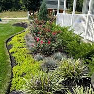 GardenEdge  10-20 cm 3mm 10 meter rol zwart