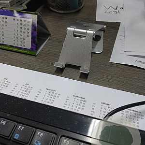 Hypericum calycinum GM P9