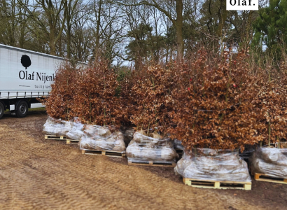 8fc9905b372437dc63745ae4c4cb8439