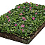 covergreen vinca minor atropurpurea 