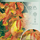 Parrotia persica 'Vanessa' 175-200 cm 10L