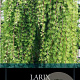 Larix kaempf. 'Stiff Weeper' 150 cm stam 10L